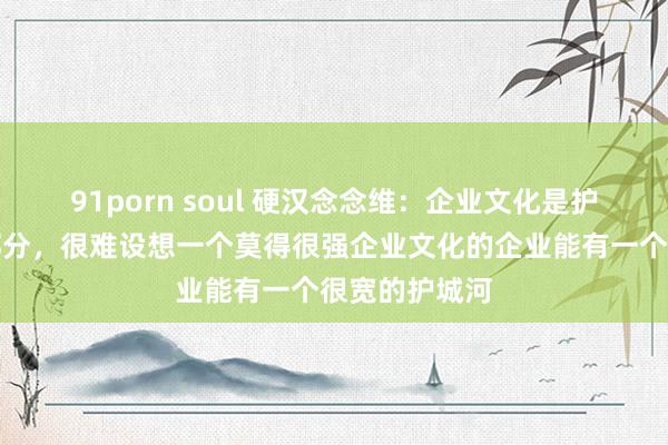 91porn soul 硬汉念念维：企业文化是护城河的垂死部分，很难设想一个莫得很强企业文化的企业能有一个很宽的护城河