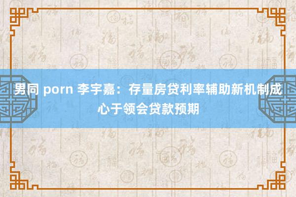 男同 porn 李宇嘉：存量房贷利率辅助新机制成心于领会贷款预期