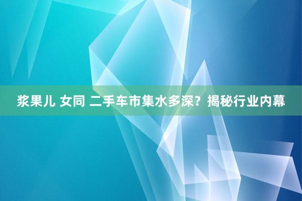 浆果儿 女同 二手车市集水多深？揭秘行业内幕