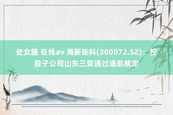 处女膜 在线av 海新能科(300072.SZ)：控股子公司山东三聚通过适航核定