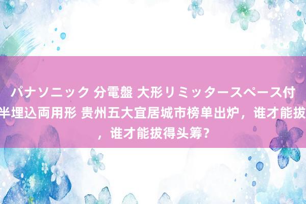 パナソニック 分電盤 大形リミッタースペース付 露出・半埋込両用形 贵州五大宜居城市榜单出炉，谁才能拔得头筹？