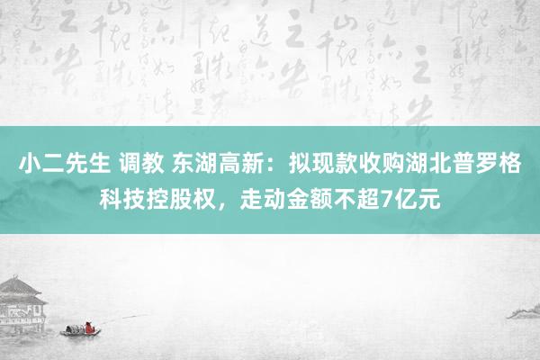 小二先生 调教 东湖高新：拟现款收购湖北普罗格科技控股权，走动金额不超7亿元