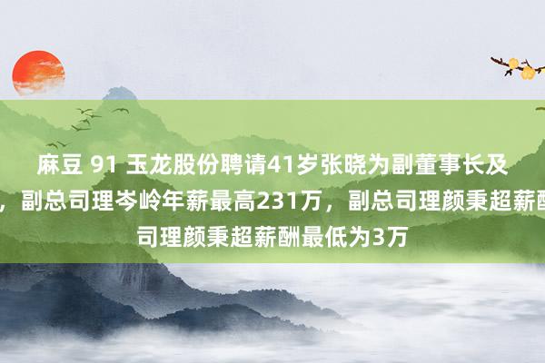 麻豆 91 玉龙股份聘请41岁张晓为副董事长及非零丁董事，副总司理岑岭年薪最高231万，副总司理颜秉超薪酬最低为3万